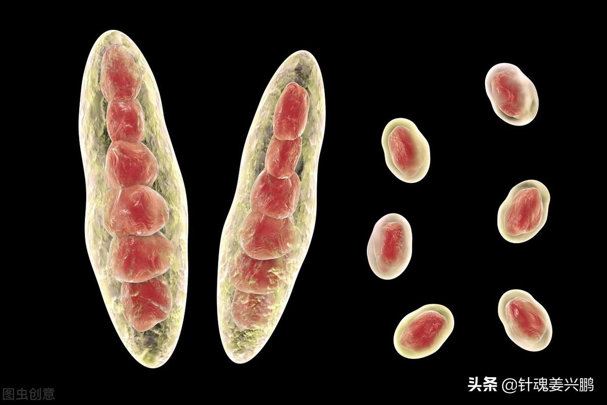 脚气的最好治疗方法，3个人人实用的方法