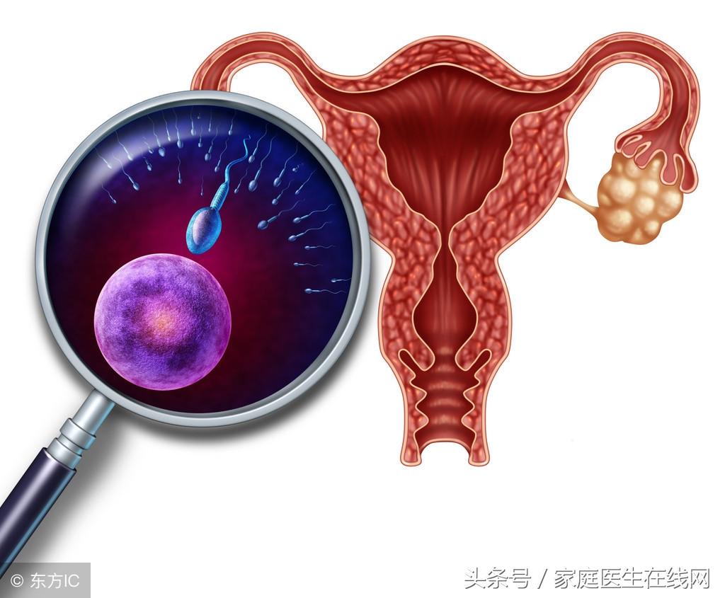 输卵管堵塞有什么样症状，这3个症状，别大意