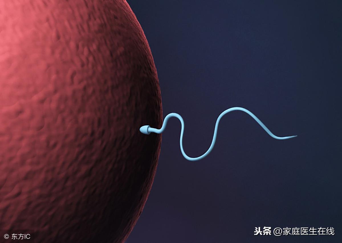 不排卵是什么原因，罪魁祸首是这7个！