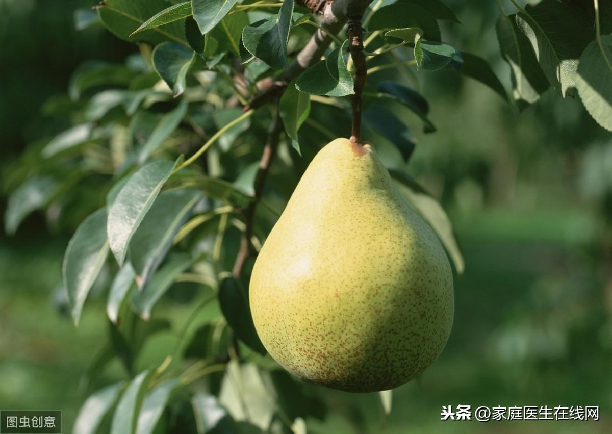 便秘吃什么好，这5种食物可帮你