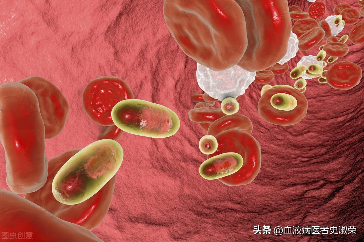红细胞偏高是什么原因（生理因素和病理因素）