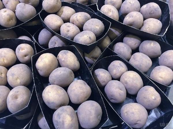 糖尿病吃什么食物最好，多吃6种食物、不吃3种食物