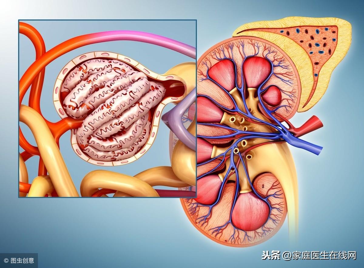 肾衰的治疗，2个方法，勉强能“制住”肾衰竭